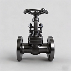 Forged Steel Gate Valves